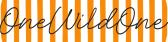 OneWildOne Discount Promo Codes